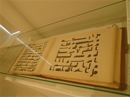 از آب خنک تا هدایت؛ «نعیم» در آیه پایانی سوره تکاثر چیست؟