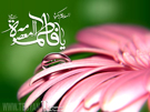 تصاویر ویژه ولادت حضرت معصومه س