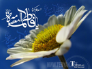 تصاویر ویژه ولادت حضرت معصومه س