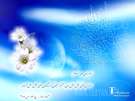 تصاویر ویژه نیمه شعبان