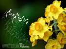 تصاویر ویژه نیمه شعبان